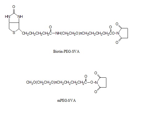 生物素-PEG-琥珀酰亞胺戊酸酯和聚乙二醇-琥珀酰亞胺戊酸酯套裝