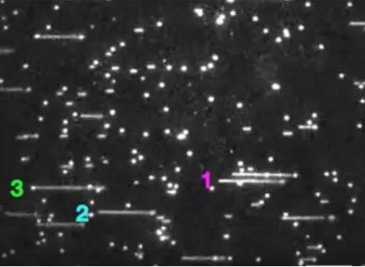 人類首次拍攝 <font color='red'>DNA</font> 復(fù)制！美科學(xué)家：人類理論完全瞎編，中學(xué)課本錯誤百出！