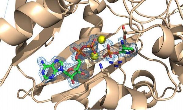 Nat Commun：科學家對古老抗生素進行修飾 有望開發出新型抗菌藥物