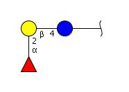 Blood group H antigen triaose type5-NAc-spacer1-NH2