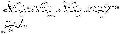 Blood group H antigen pentaose type 1