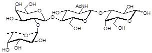 Blood group H antigen tetraose type 2