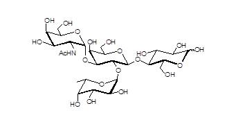 Blood group A antigen tetraose type 5 I