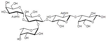 Blood group A antigen pentaose type 2