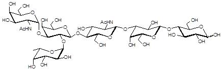 Blood group A antigen hexaose type 2