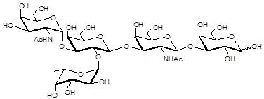 Blood group A antigen pentaose type 4