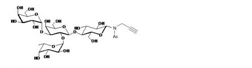 B血型抗原四糖5型-N-乙酰-丙炔