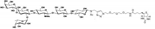 6GrB1-N-乙?；?間隔3-生物素