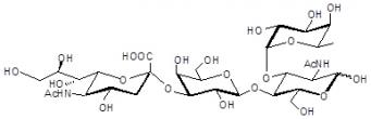 唾液素Lewis X抗原四糖