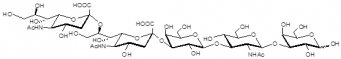 二唾液酸五糖1型