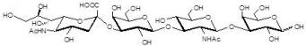 唾液酸四糖1型
