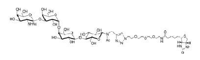 Gb4-Nac-空間構(gòu)型3-生物素