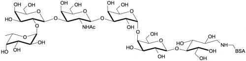 Globo-H六糖-BSA
