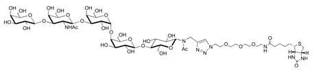 Gb5-N-Acetyl-spacer 3-Biotin