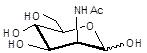 N-乙酰-D-甘露糖胺