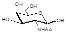 N-乙酰-D-半乳糖胺