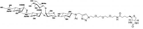 GD2神經(jīng)節(jié)苷脂類糖-β-N-乙酰–空間構(gòu)型3-生物素