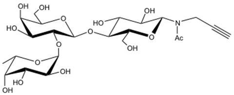 2' 巖藻糖乳糖-N-乙酰基-丙炔