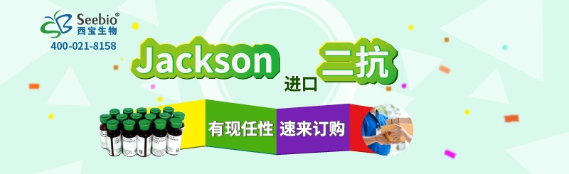 Jackson <font color='red'>二抗</font> 有“現(xiàn)”任性 速來訂購(gòu)