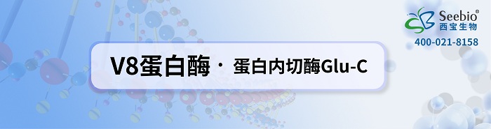 蛋白質結構序列分析用V8蛋白酶 * 蛋白內切酶Glu-C