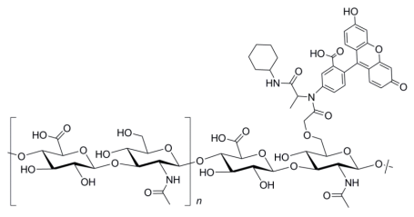 熒光素標記透明質酸(FHA-Se)的結構式