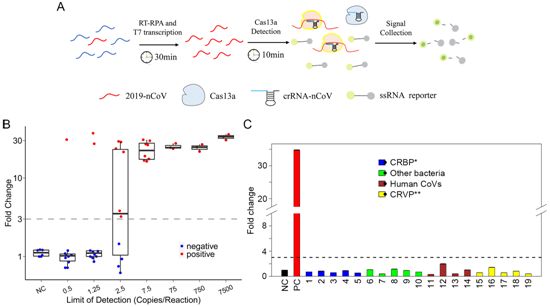 PLoS Pathog：我國(guó)科學(xué)家開(kāi)發(fā)出一種快速、準(zhǔn)確、低成本的<font color='red'>COVID-19</font>測(cè)試方法