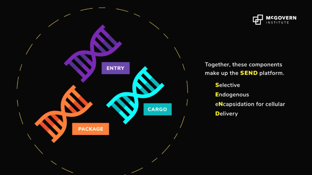 圖 | 全新的 RNA 遞送平臺 SEND（來源：MIT）