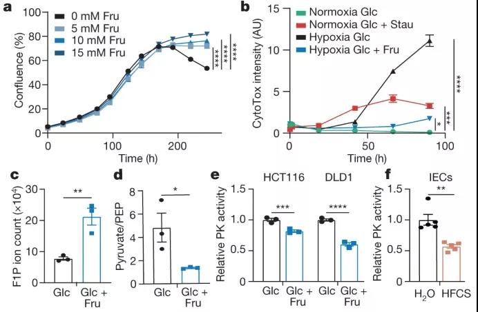 圖注：果糖代謝增強缺氧細胞存活并降低丙酮酸激酶活性