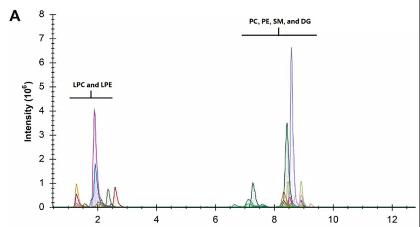 挑選出來的17種特征脂質代謝物的離子色譜圖（圖源：Science Advances）