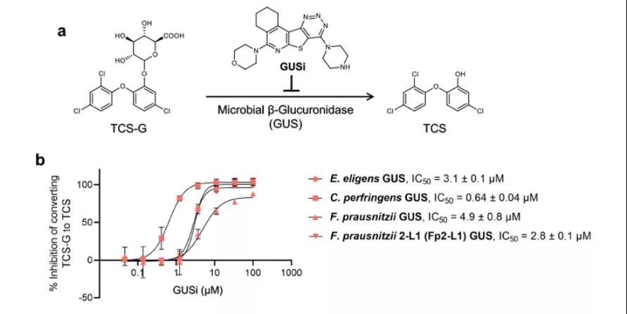 GUSi抑制腸道微生物GUS酶將TCS-G轉(zhuǎn)化為TCS（圖源：Nature Communication）