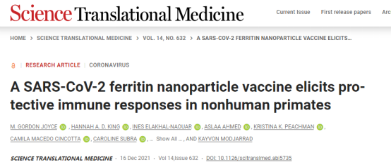 間隔28天接種兩劑SpFN加佐劑的非人類靈長類動物產生了有效的SARS-CoV-2特異性B和T細胞反應