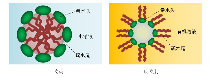 表面活性劑在溶液中形成膠束