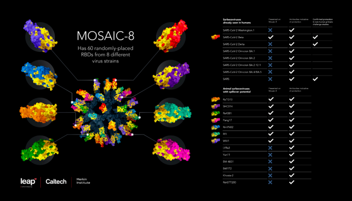 Mosaic-8疫苗由來自8種不同病毒的RBD組成