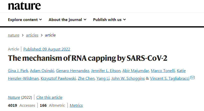 有關新冠病毒如何構建RNA帽結構的論文發表在Nature雜志上