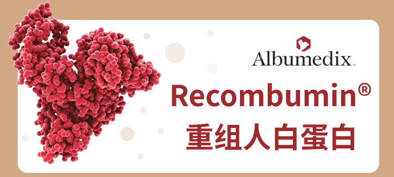 Recombumin重組人蛋白