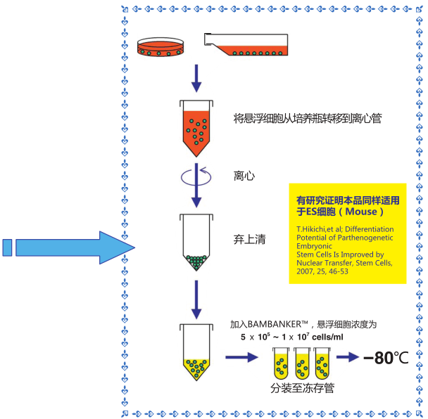 procedure of Bombanker