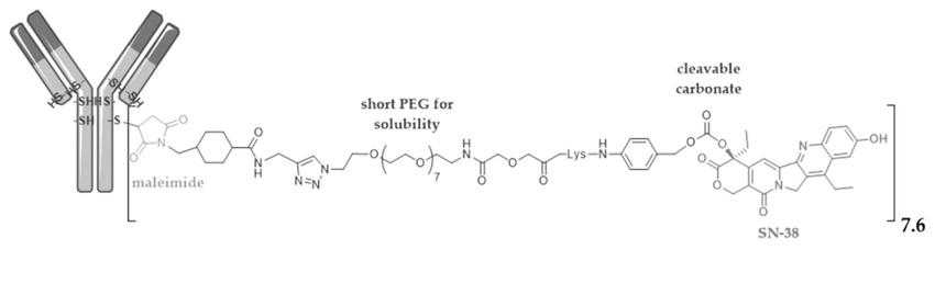 anti-TROP2 Trodelvy®（sacituzumab govitecan or IMMU-132）