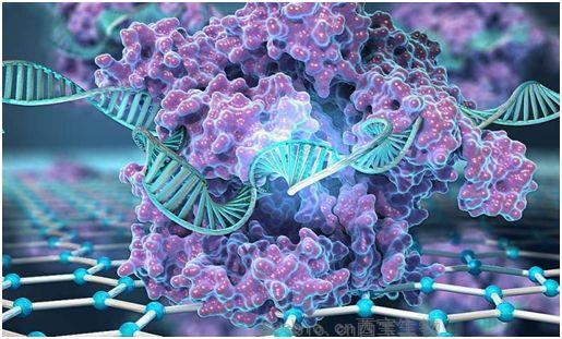 Nature子刊：開發出可在幾分鐘內檢測基因突變的CRISPR芯片