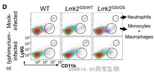 Science子刊：Lrrk2等位基因在小鼠的微生物感染過程中以性別依賴的方式調節炎癥