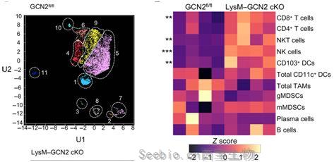 Science子刊：揭示GCN2抑制<font color='red'>腫瘤</font>微環(huán)境中的抗<font color='red'>腫瘤</font>免疫反應(yīng)