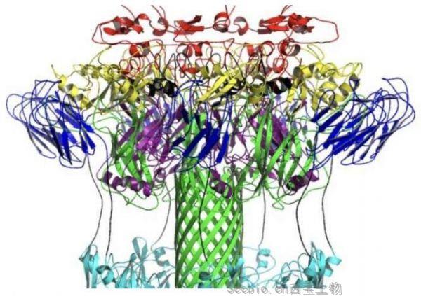 PNAS：科學家有望開發(fā)出治療艱難梭菌感染的<font color='red'>新型</font>藥物療法