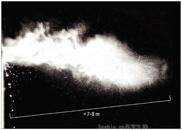 震驚！JAMA研究發(fā)現(xiàn)攜帶冠狀病毒的飛沫可以飛行8米遠(yuǎn)！