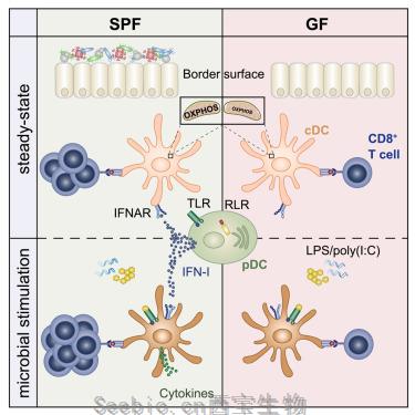 Cell重磅！微生物控制著免疫系統的健康！