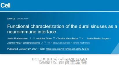 Cell揭示：“免疫豁免”的中樞神經系統，為何能夠受到神經免疫攻擊？