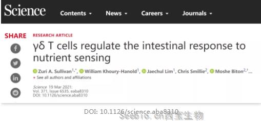 難怪會越吃越胖！Science揭示：腸道會根據進食情況調節營養代謝，這種細胞是關鍵“調節劑”