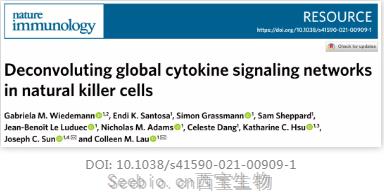 細胞因子各司其職，互不相干？Nature子刊：NK細胞受到細胞因子網絡的整體調控