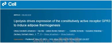 Cell突破：吃貨大軍感動哭！科學家找到一條新的燃脂通路，具有持久生效潛力