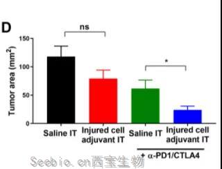 Science子刊：為免疫系統(tǒng)提供“叫醒服務(wù)”或可有效清除體內(nèi)<font color='red'>腫瘤</font>！