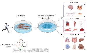 基于DNBelab C4和DNBSEQ測(cè)序技術(shù)，中科院、華大研究院等在單細(xì)胞領(lǐng)域重大突破在Nature發(fā)表