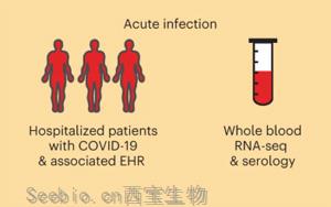 Nature Medicine：<font color='red'>COVID-19</font>幸存者一年后血液基因表達變化